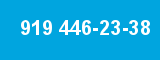 919 446-23-38 919 446-23-38